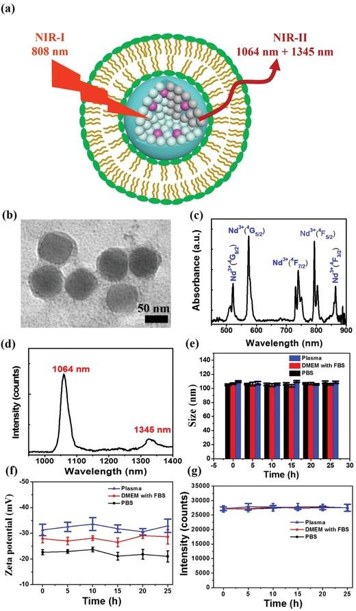 https://cdn.ncbi.nlm.nih.gov/pmc/blobs/8c3f/6891904/df294ab4d01a/ADVS-6-1902042-g001.jpg