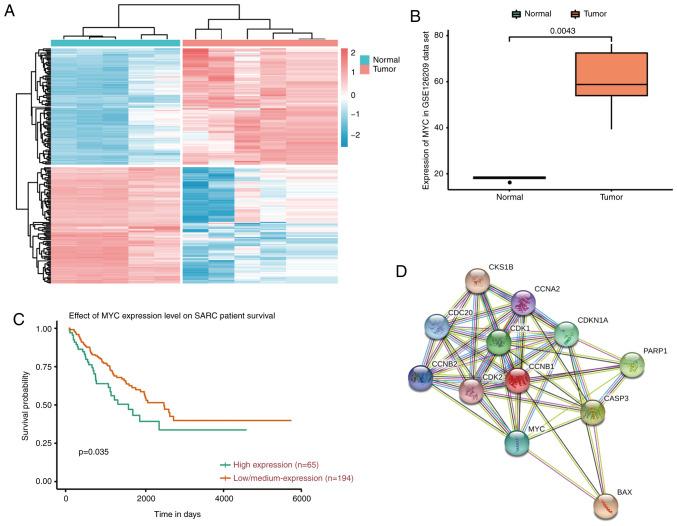 https://cdn.ncbi.nlm.nih.gov/pmc/blobs/8c3f/7640369/0e0bcb7d4c94/OR-44-06-2669-g00.jpg