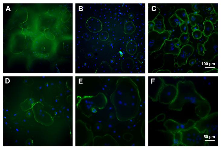 https://cdn.ncbi.nlm.nih.gov/pmc/blobs/8c3f/8541337/edc7524887f8/molecules-26-06258-g011.jpg