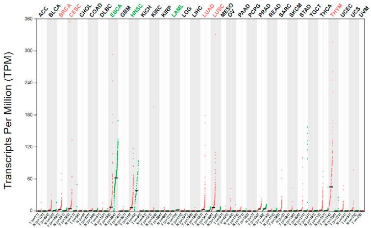 https://cdn.ncbi.nlm.nih.gov/pmc/blobs/8c3f/9147292/a586d0485826/ijms-23-05589-g002.jpg