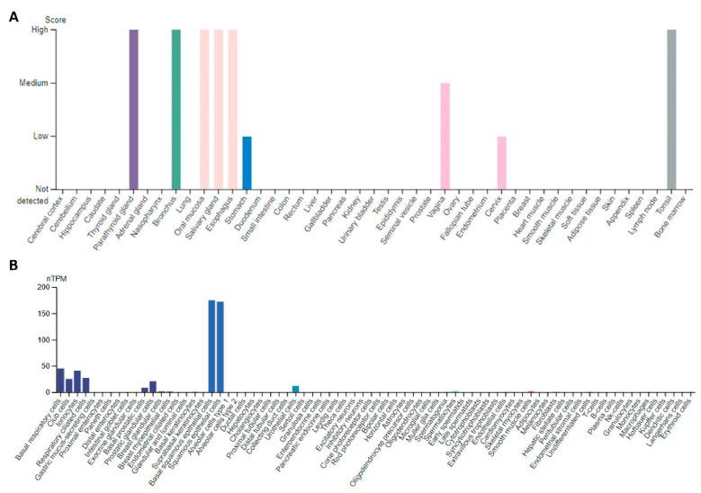 https://cdn.ncbi.nlm.nih.gov/pmc/blobs/8c3f/9147292/df38309cf242/ijms-23-05589-g001.jpg