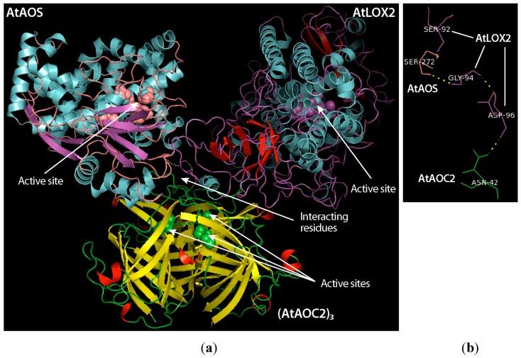 https://cdn.ncbi.nlm.nih.gov/pmc/blobs/8c41/6627107/c44129c86e21/ijms-20-03064-g003.jpg