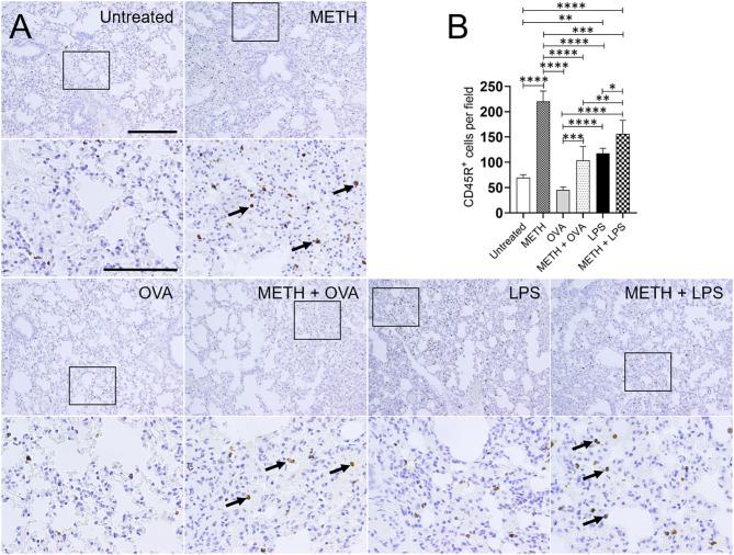 https://cdn.ncbi.nlm.nih.gov/pmc/blobs/8c42/8915878/504ea4bef447/ftox-03-629451-g0003.jpg