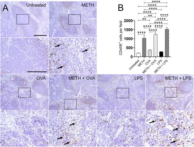https://cdn.ncbi.nlm.nih.gov/pmc/blobs/8c42/8915878/8d34d11f9fc5/ftox-03-629451-g0004.jpg