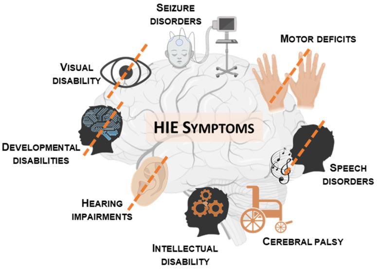 https://cdn.ncbi.nlm.nih.gov/pmc/blobs/8c43/11121719/d018bd5a7629/ijms-25-05449-g001.jpg