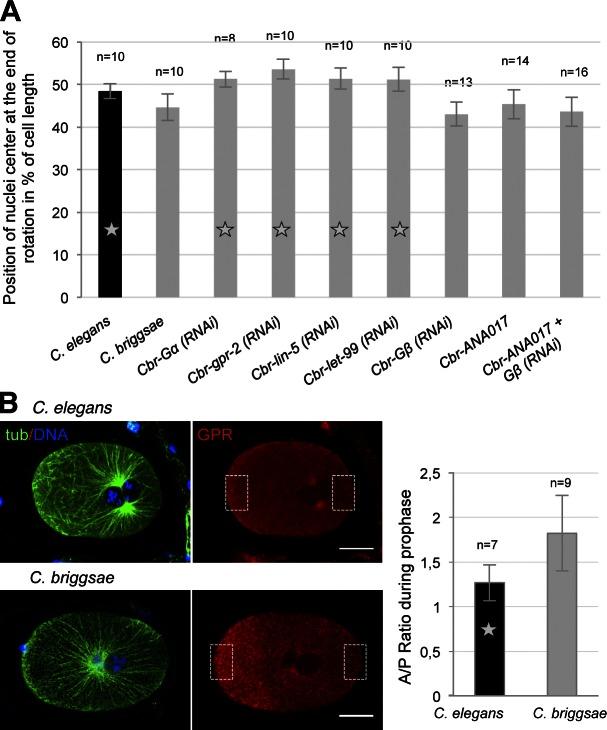 https://cdn.ncbi.nlm.nih.gov/pmc/blobs/8c43/3664713/548910f4627e/JCB_201210110R_Fig5.jpg