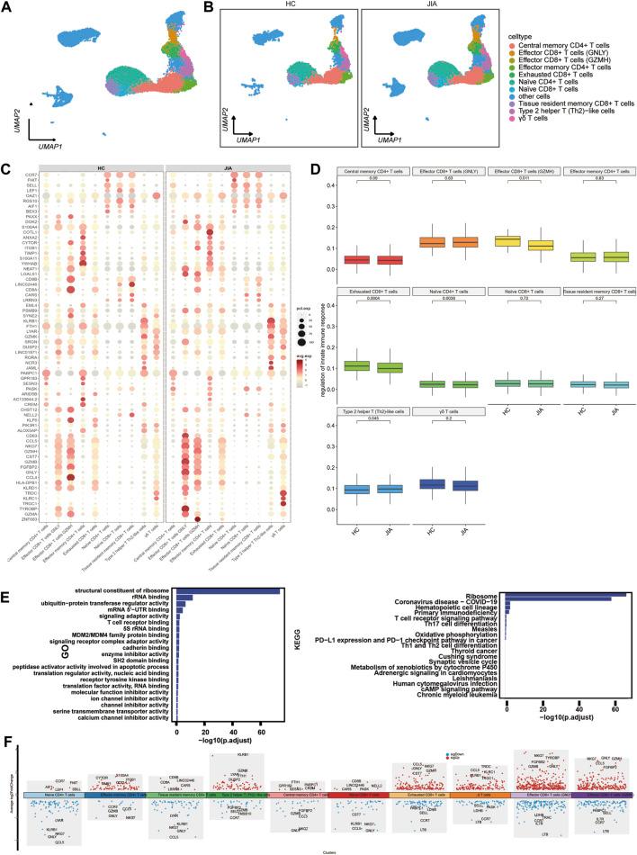 https://cdn.ncbi.nlm.nih.gov/pmc/blobs/8c44/11094213/d789668139ca/fmolb-11-1359235-g005.jpg