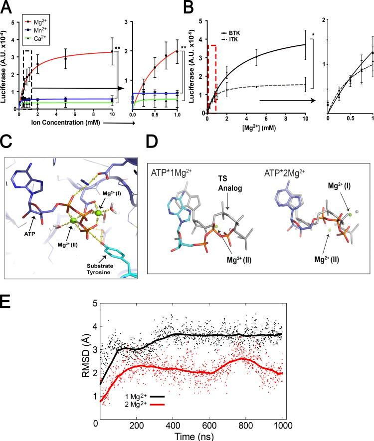 https://cdn.ncbi.nlm.nih.gov/pmc/blobs/8c45/6683994/27d3120d22b4/JEM_20181970_Fig3.jpg