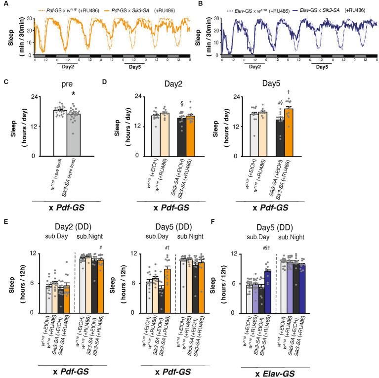 https://cdn.ncbi.nlm.nih.gov/pmc/blobs/8c46/10469759/9669edc01abb/fnins-17-1181555-g004.jpg