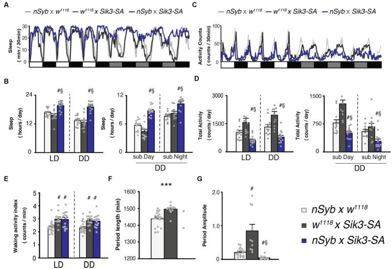 https://cdn.ncbi.nlm.nih.gov/pmc/blobs/8c46/10469759/cd1c1827aa9c/fnins-17-1181555-g001.jpg