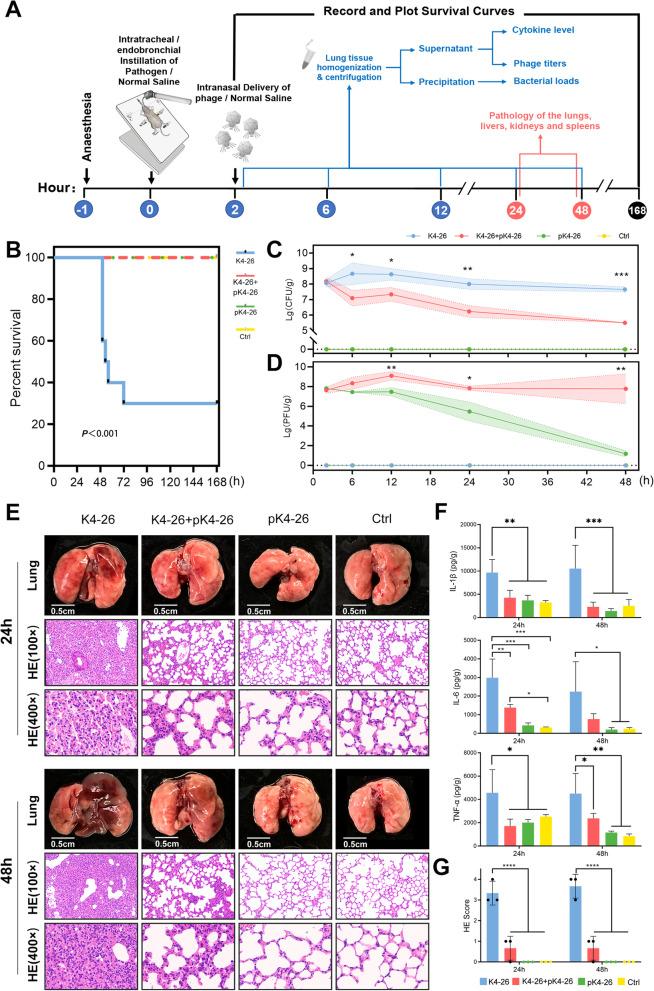 https://cdn.ncbi.nlm.nih.gov/pmc/blobs/8c47/10470133/283578ab530e/12929_2023_946_Fig2_HTML.jpg