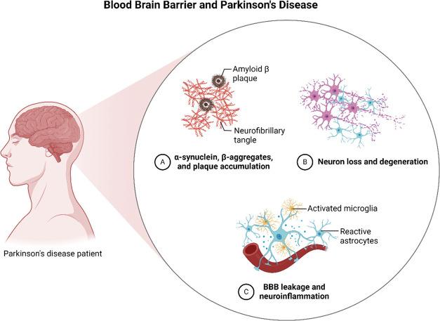 https://cdn.ncbi.nlm.nih.gov/pmc/blobs/8c47/11579724/c30b07d60196/ao4c06546_0002.jpg