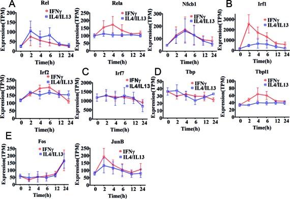 https://cdn.ncbi.nlm.nih.gov/pmc/blobs/8c47/4538831/a143029330d1/gkv646fig3.jpg
