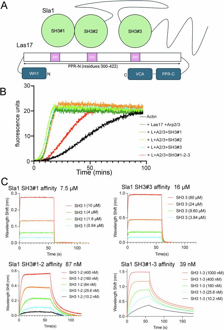 https://cdn.ncbi.nlm.nih.gov/pmc/blobs/8c49/12081870/03846fc2d27b/42003_2025_8188_Fig1_HTML.jpg