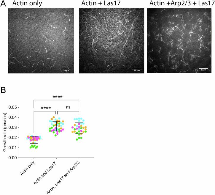 https://cdn.ncbi.nlm.nih.gov/pmc/blobs/8c49/12081870/2257a1d4f077/42003_2025_8188_Fig6_HTML.jpg
