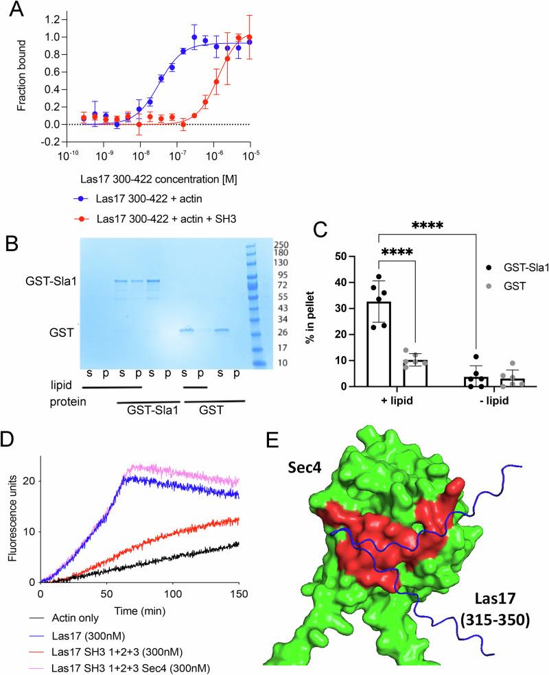 https://cdn.ncbi.nlm.nih.gov/pmc/blobs/8c49/12081870/e1729b7d36a4/42003_2025_8188_Fig7_HTML.jpg