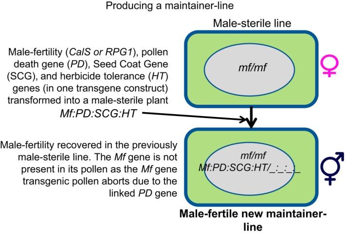 https://cdn.ncbi.nlm.nih.gov/pmc/blobs/8c49/7063588/ea8856e36d79/PLD3-4-e00201-g005.jpg