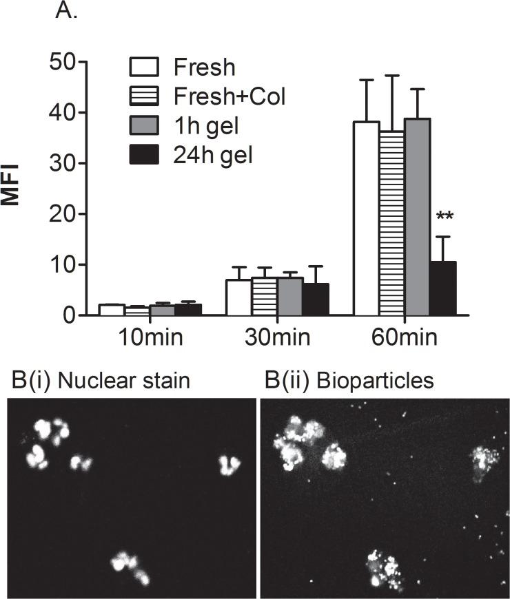 https://cdn.ncbi.nlm.nih.gov/pmc/blobs/8c4a/4338182/36dcc4119247/pone.0118593.g004.jpg