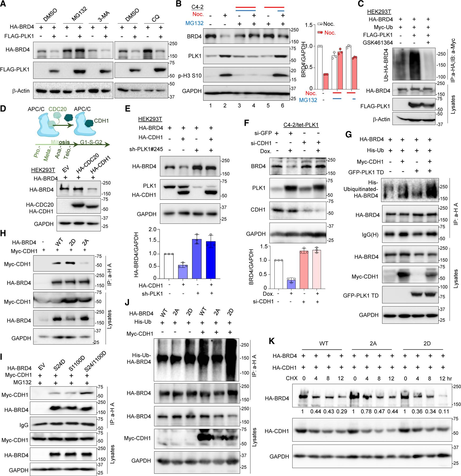 https://cdn.ncbi.nlm.nih.gov/pmc/blobs/8c4b/11334074/32d16e8b0484/nihms-2011876-f0005.jpg