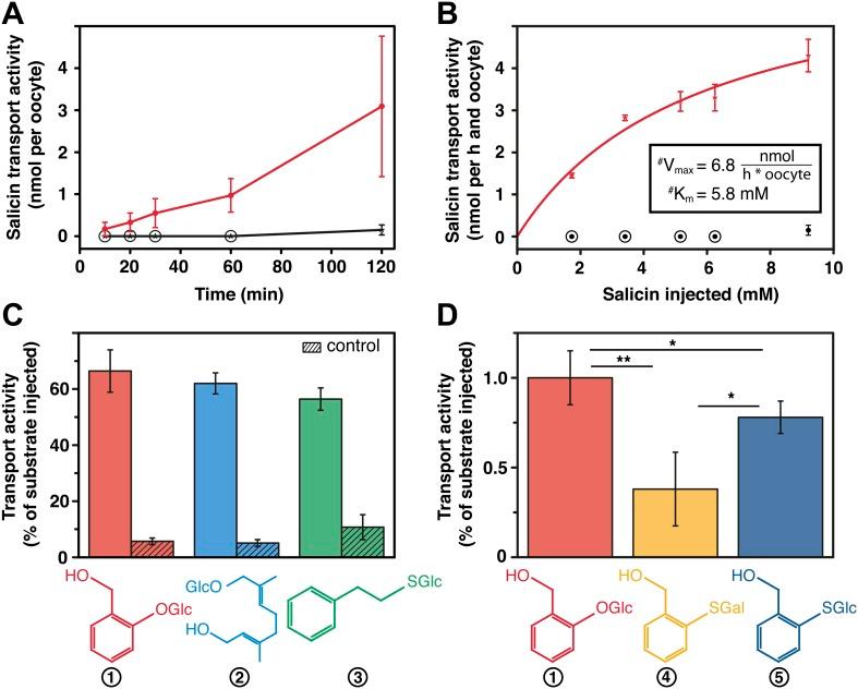 https://cdn.ncbi.nlm.nih.gov/pmc/blobs/8c4b/3843118/36d33a19f46d/elife01096f005.jpg