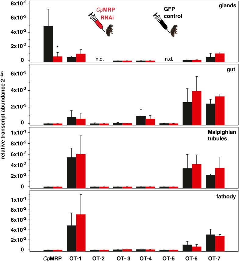 https://cdn.ncbi.nlm.nih.gov/pmc/blobs/8c4b/3843118/d78be98d7714/elife01096fs005.jpg