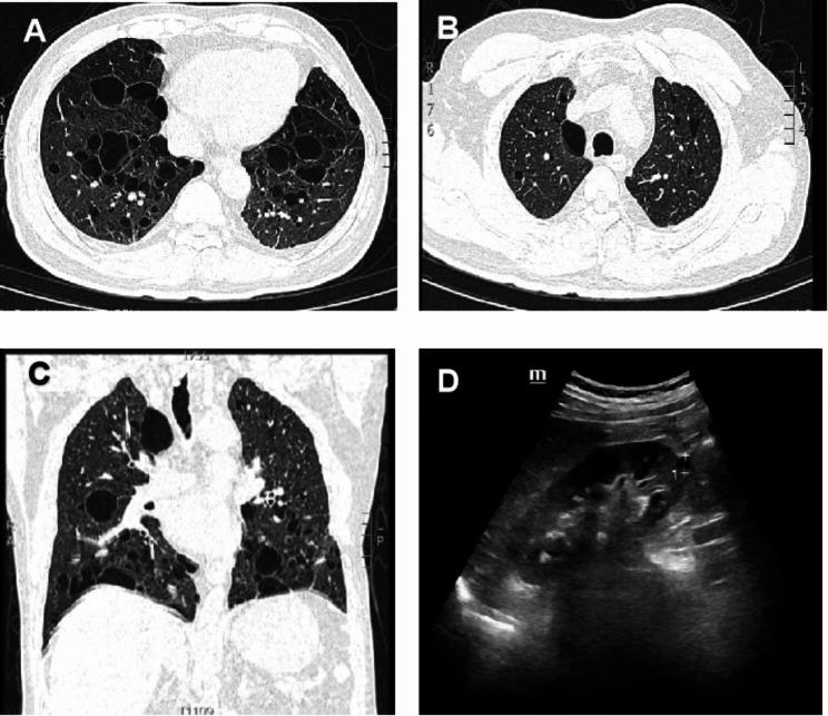 https://cdn.ncbi.nlm.nih.gov/pmc/blobs/8c4c/10664354/d2b59b883c16/12890_2023_2680_Fig2_HTML.jpg
