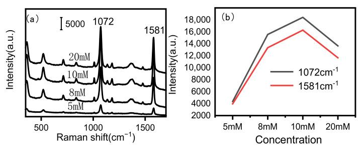 https://cdn.ncbi.nlm.nih.gov/pmc/blobs/8c4f/12384367/3e7731332610/biosensors-15-00477-g001.jpg
