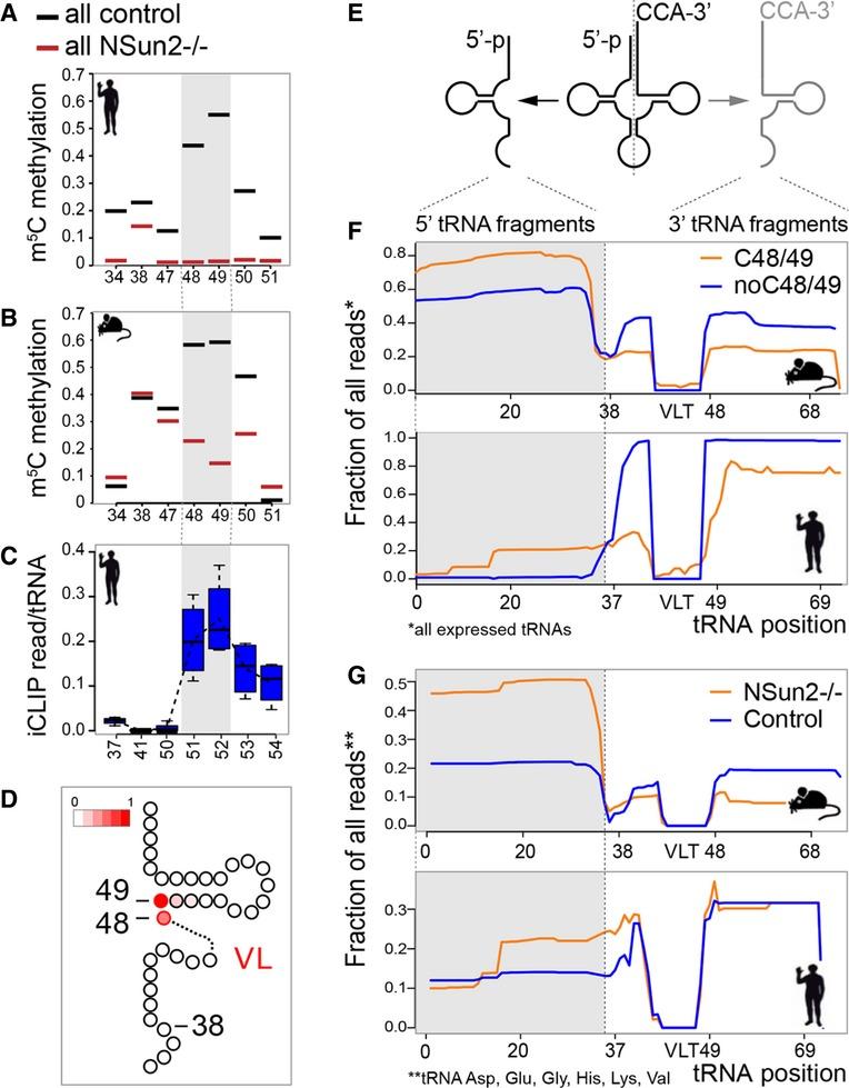 https://cdn.ncbi.nlm.nih.gov/pmc/blobs/8c50/4195770/089831cd301f/embj0033-2020-f2.jpg