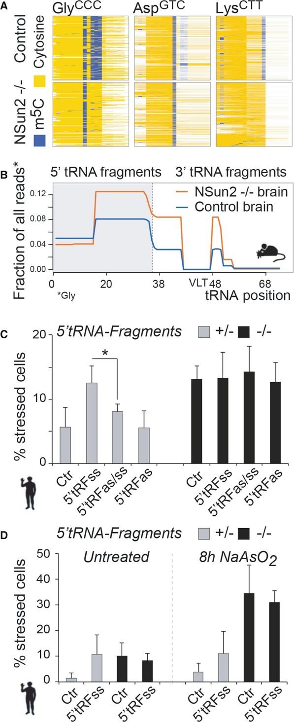 https://cdn.ncbi.nlm.nih.gov/pmc/blobs/8c50/4195770/7d6dbfc64e05/embj0033-2020-f5.jpg
