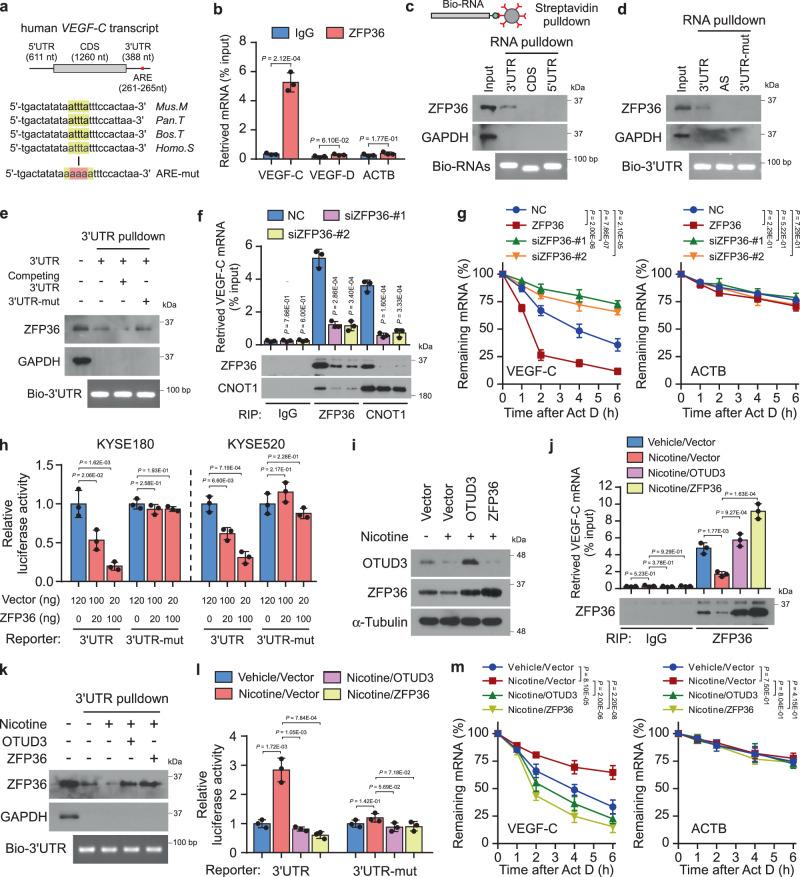https://cdn.ncbi.nlm.nih.gov/pmc/blobs/8c50/8636640/24121592e536/41467_2021_27348_Fig5_HTML.jpg