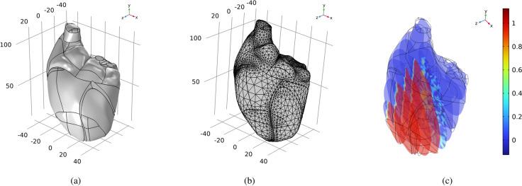 https://cdn.ncbi.nlm.nih.gov/pmc/blobs/8c52/11814338/0be3679a8b8a/41598_2025_89752_Fig1_HTML.jpg