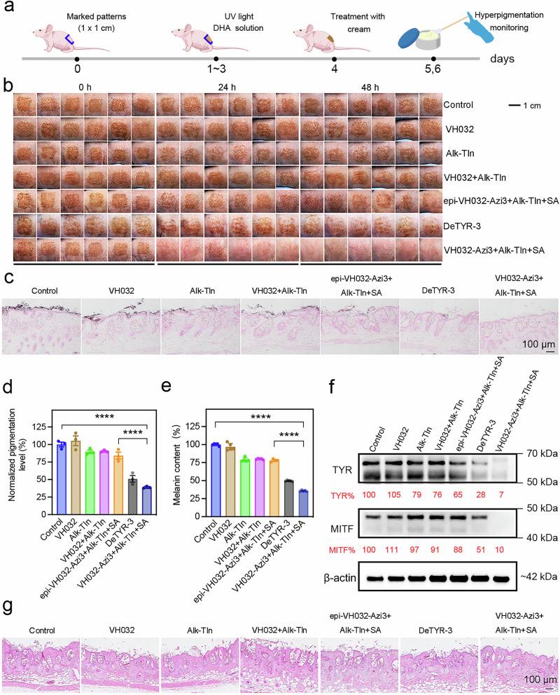 https://cdn.ncbi.nlm.nih.gov/pmc/blobs/8c52/12255739/0ae520e28f22/41467_2025_61799_Fig4_HTML.jpg