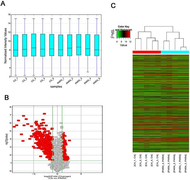 https://cdn.ncbi.nlm.nih.gov/pmc/blobs/8c53/5601662/5381d5d2dc53/oncotarget-08-58405-g001.jpg