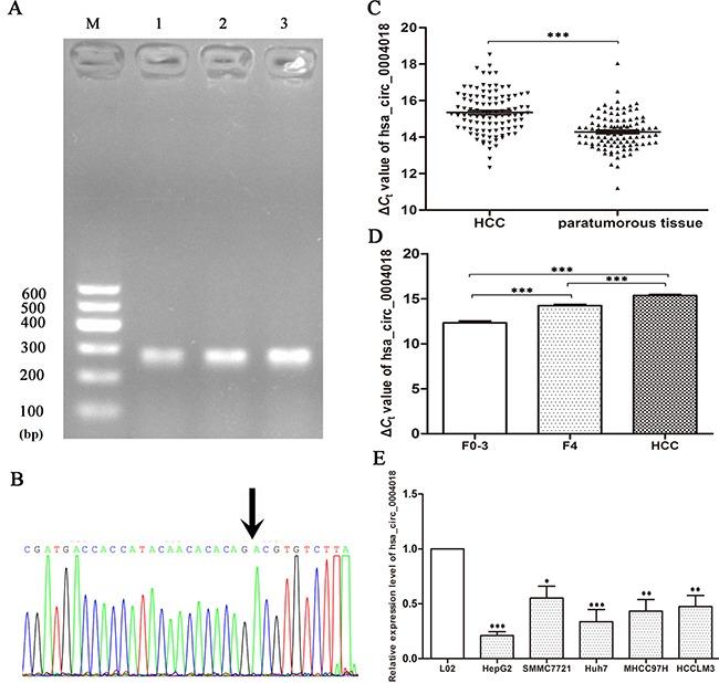 https://cdn.ncbi.nlm.nih.gov/pmc/blobs/8c53/5601662/ecef403f0d60/oncotarget-08-58405-g002.jpg
