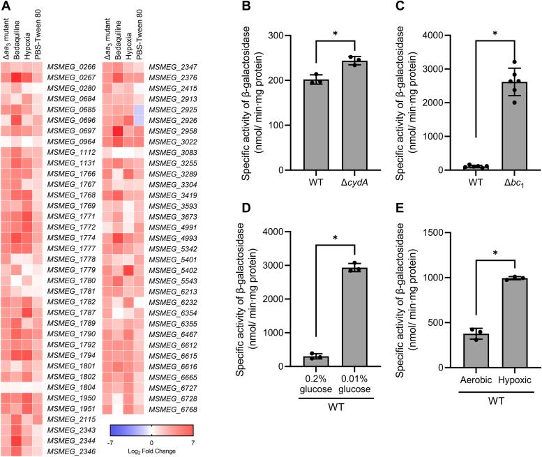 https://cdn.ncbi.nlm.nih.gov/pmc/blobs/8c55/10950880/a2601a28cae8/gr10.jpg