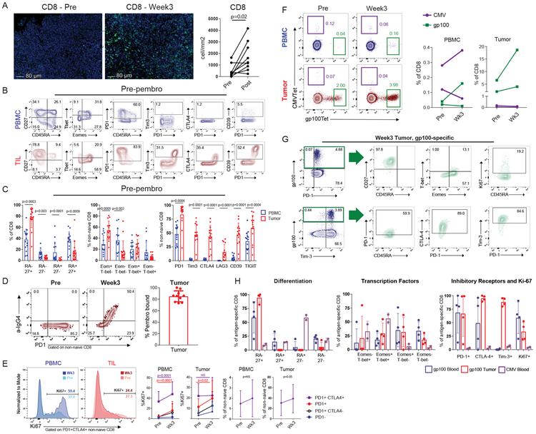 https://cdn.ncbi.nlm.nih.gov/pmc/blobs/8c55/6699626/0a145c9a8e68/nihms-1518861-f0003.jpg