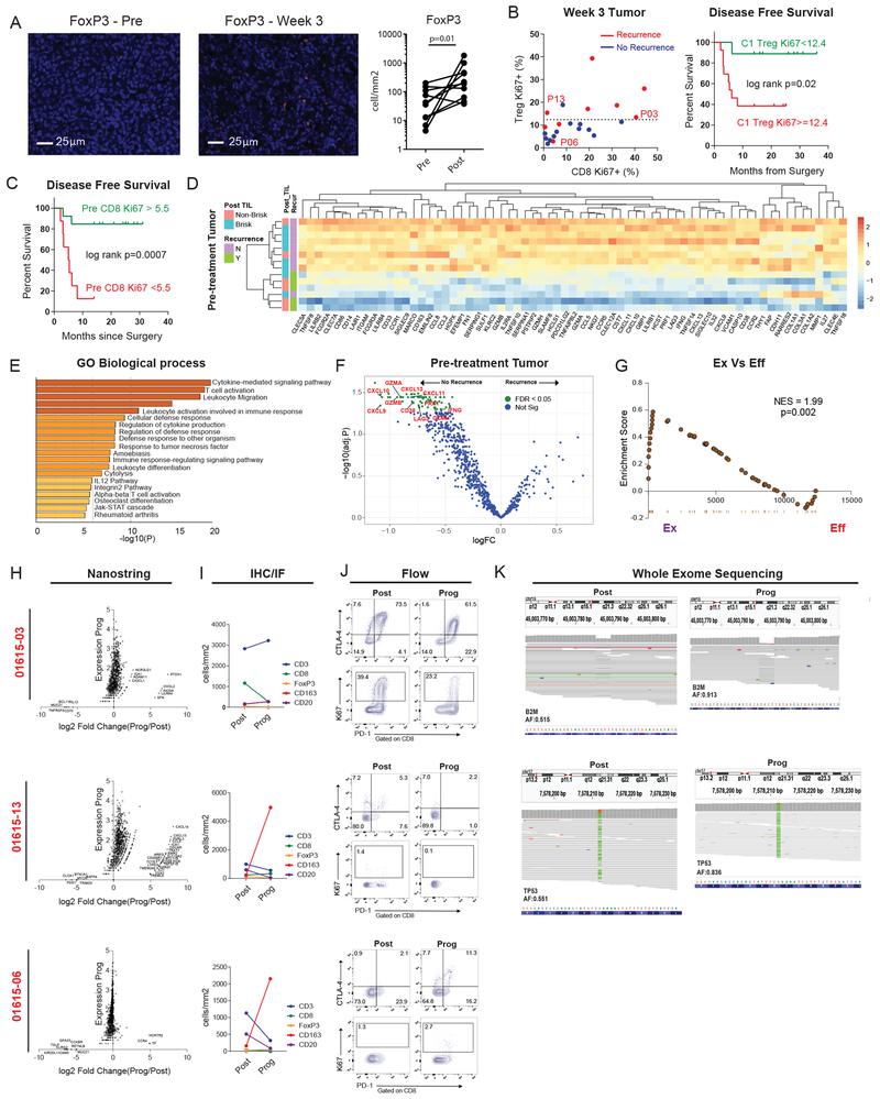 https://cdn.ncbi.nlm.nih.gov/pmc/blobs/8c55/6699626/0da3da66b69a/nihms-1518861-f0004.jpg