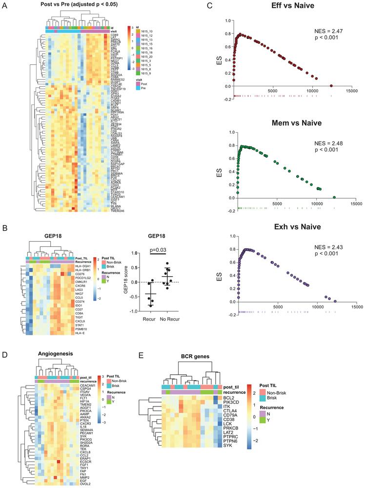 https://cdn.ncbi.nlm.nih.gov/pmc/blobs/8c55/6699626/aca5f0cdd308/nihms-1518861-f0008.jpg