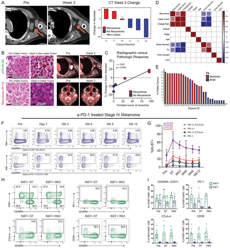https://cdn.ncbi.nlm.nih.gov/pmc/blobs/8c55/6699626/ee77e4ea5459/nihms-1518861-f0002.jpg