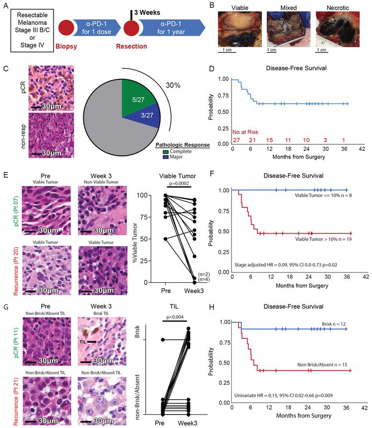 https://cdn.ncbi.nlm.nih.gov/pmc/blobs/8c55/6699626/efb81f9d92e8/nihms-1518861-f0001.jpg