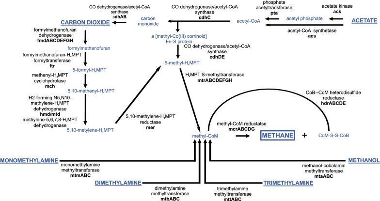 https://cdn.ncbi.nlm.nih.gov/pmc/blobs/8c56/6302309/7919f2ab708a/12934_2018_1043_Fig1_HTML.jpg