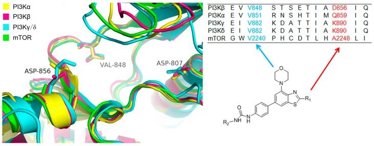 https://cdn.ncbi.nlm.nih.gov/pmc/blobs/8c57/6274018/c830b6f66b7b/molecules-21-00876-g002.jpg
