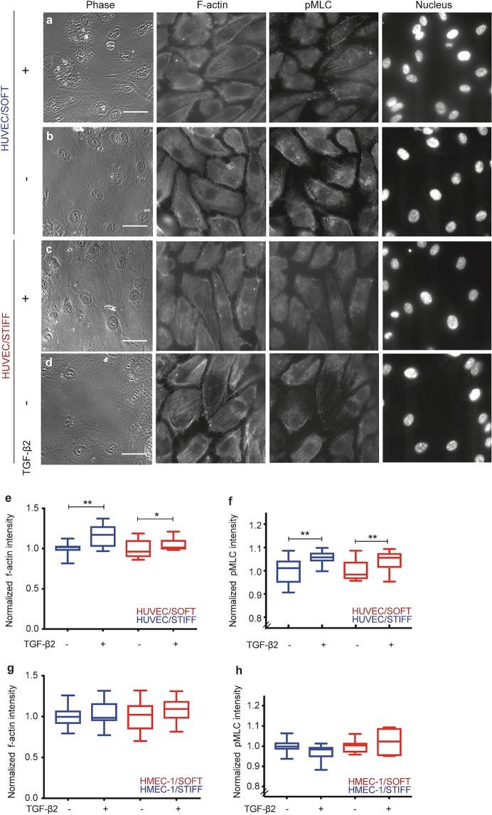 https://cdn.ncbi.nlm.nih.gov/pmc/blobs/8c58/6890669/676a1482222e/41598_2019_54336_Fig7_HTML.jpg