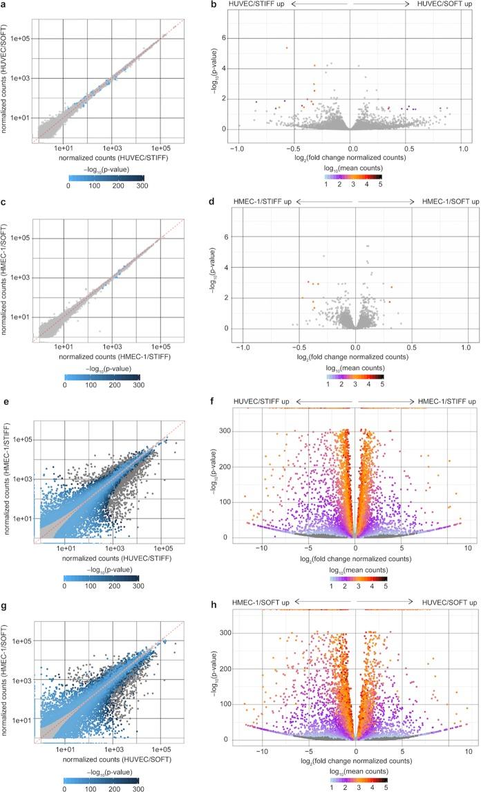 https://cdn.ncbi.nlm.nih.gov/pmc/blobs/8c58/6890669/96ba5ccb4771/41598_2019_54336_Fig3_HTML.jpg