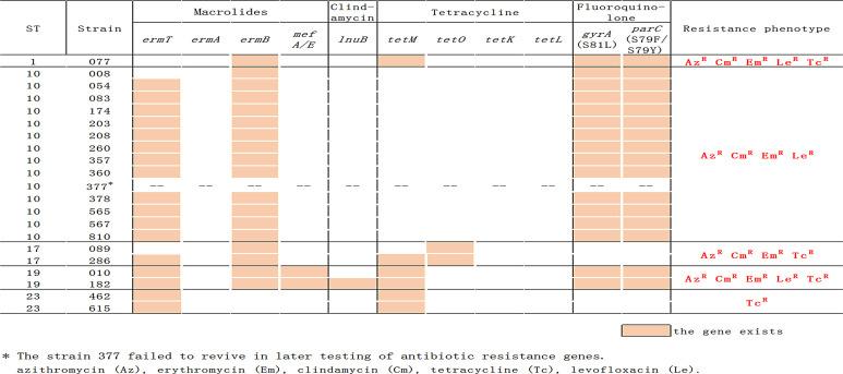 https://cdn.ncbi.nlm.nih.gov/pmc/blobs/8c58/8162377/f44184081a8e/fcimb-11-642455-g003.jpg