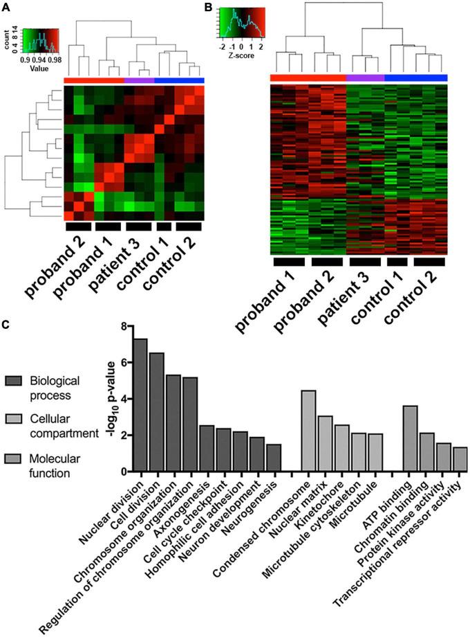 https://cdn.ncbi.nlm.nih.gov/pmc/blobs/8c59/9669751/46625c8b93ad/fpsyt-13-924956-g003.jpg