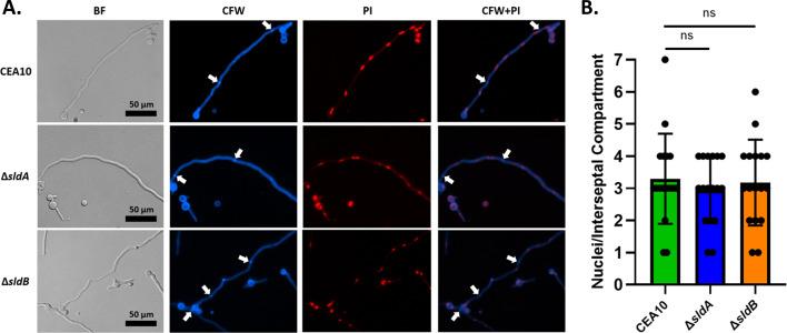 https://cdn.ncbi.nlm.nih.gov/pmc/blobs/8c5a/12323316/40eecc1bc100/spectrum.00536-25.f004.jpg