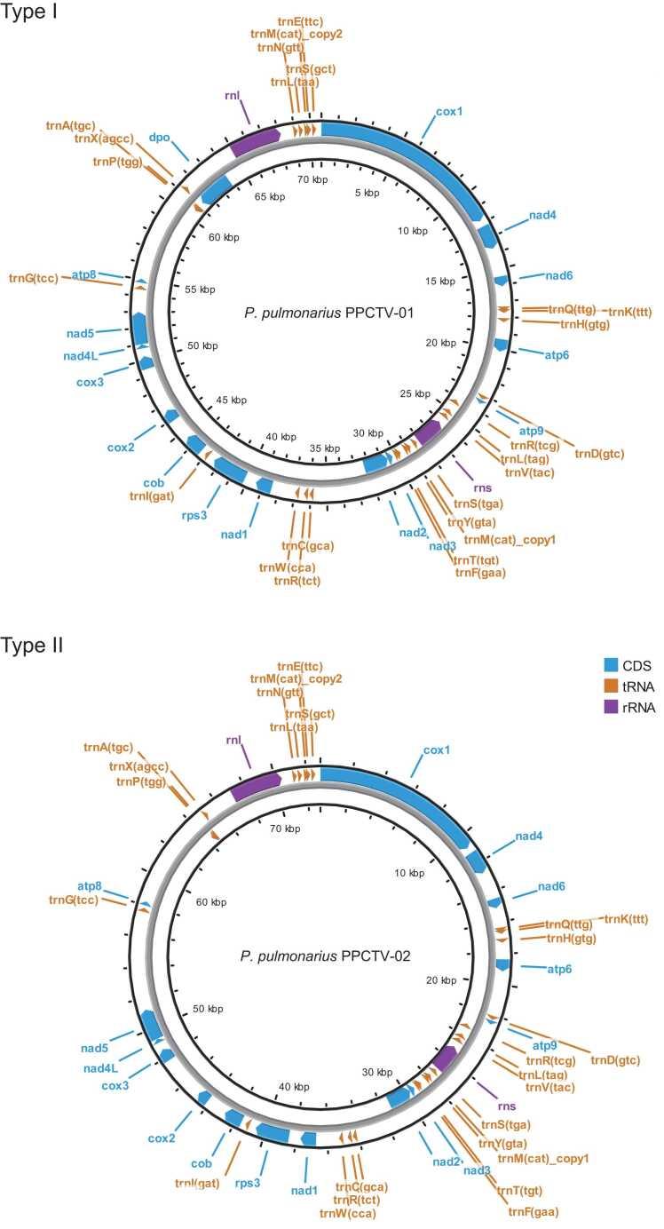 https://cdn.ncbi.nlm.nih.gov/pmc/blobs/8c5b/10869244/7f26ed9533da/gr2.jpg