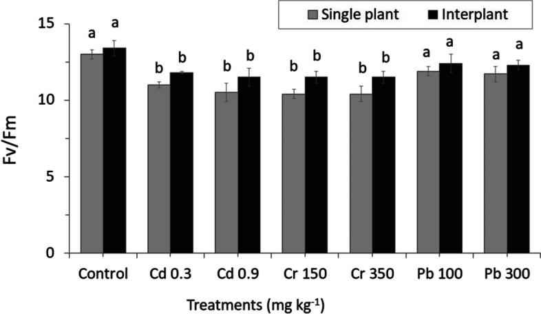https://cdn.ncbi.nlm.nih.gov/pmc/blobs/8c5e/11238380/361443c42fdd/12870_2024_5371_Fig8_HTML.jpg