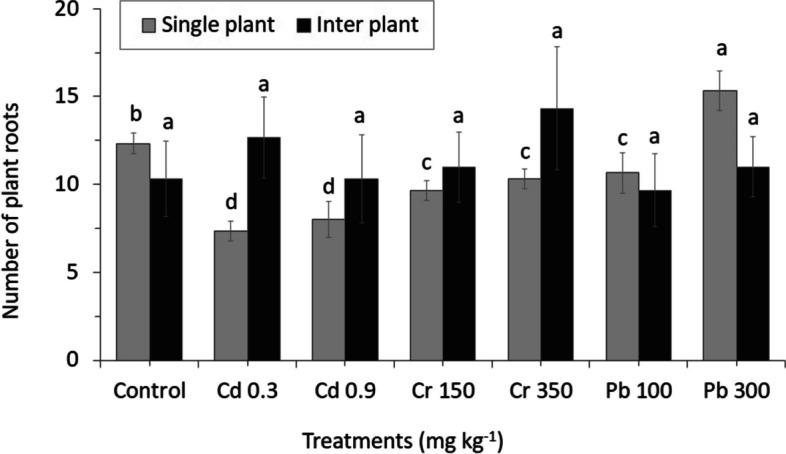 https://cdn.ncbi.nlm.nih.gov/pmc/blobs/8c5e/11238380/d832a97a1fda/12870_2024_5371_Fig5_HTML.jpg